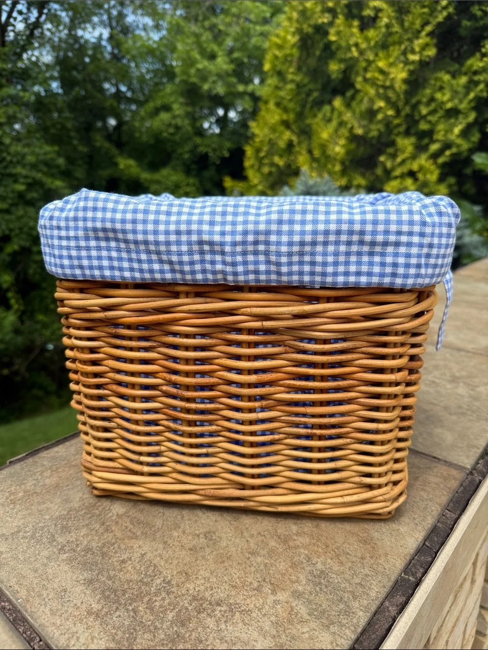 Pottery Barn Kids Woven Rattan Basket with Blue Gingham Liner
